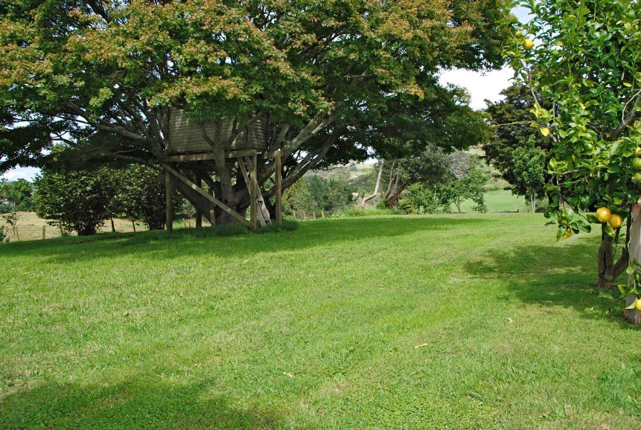 Poripori Homestead Tauranga Eksteriør billede